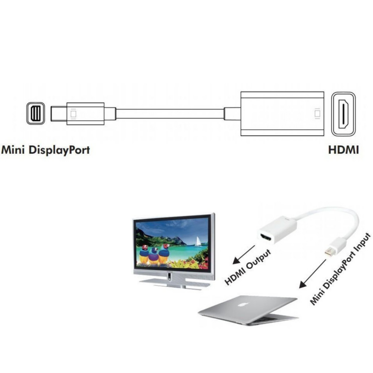 HDMI zu DisplayPort Adapter